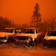 Cars destroyed by the Camp Fire sit in the lot at a used car dealership on November 9, 2018 in Paradise, California.